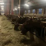منزل ريفي A La Ferme Au Puy Mary *